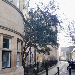 Old Botanical Garden